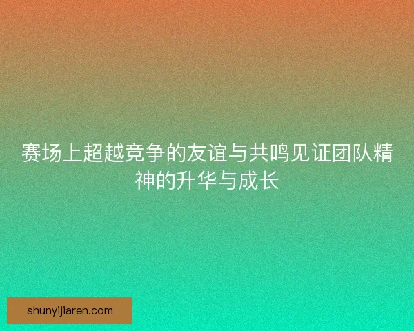 赛场上超越竞争的友谊与共鸣见证团队精神的升华与成长